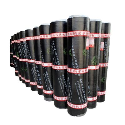Plastic modified asphalt waterproofing membrane (APP)